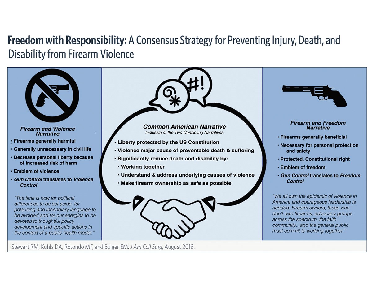 Graphic in article comparing 3 narratives: Firearm and Violence, Common American, and Firearm and Freedom. 